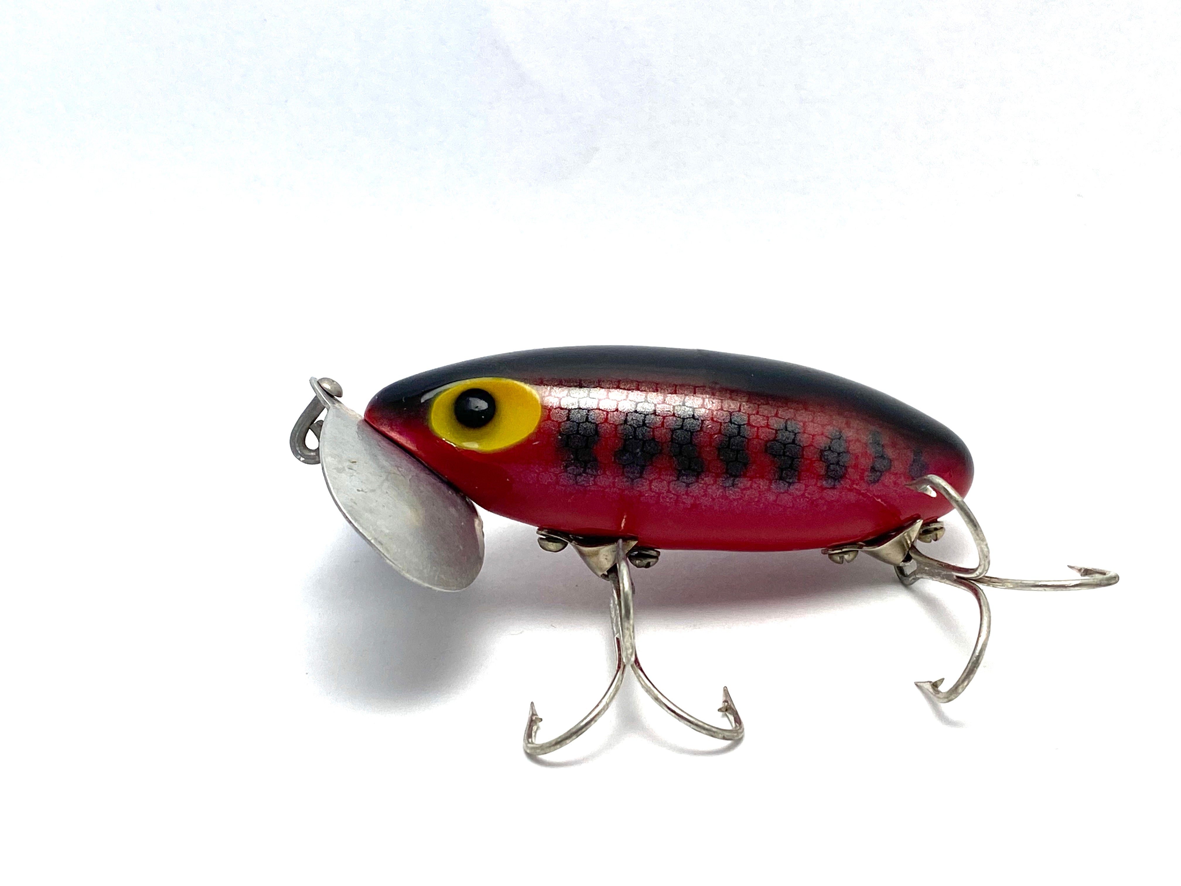 5 Vintage Fred Arbogast Bass Trout Fishing Lures Jitterbug Sputterbuzz Lure
