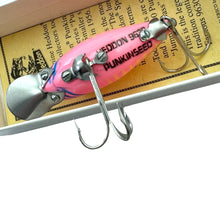 Load image into Gallery viewer, HEDDON PUNKINSEED SPOOK FISHING LURE in PINK SHORE v