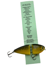 Load image into Gallery viewer, Insert View of ACE HANDCRAFTED FISHING LURES by GORDON GRIFFITHS. SMALL SCUD Musky GLIDE BAIT