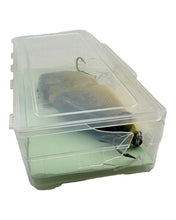 Load image into Gallery viewer, Box End View of ACE HANDCRAFTED FISHING LURES by GORDON GRIFFITHS. SMALL SCUD Musky GLIDE BAIT