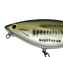 Lataa kuva Galleria-katseluun, BAGLEYS B FLAT 8 SHINER GLIDE BAIT in LITTLE BASS ON WHITE all brass