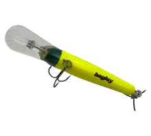 画像をギャラリービューアに読み込む, BAGLEY LURES Salmon Snack BASS N SHAD Fishing Lure in FLUORESCENT GREEN on CHARTREUSE V.