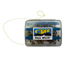 Lade das Bild in den Galerie-Viewer, WYOMING FLY FISHING TACKLE BOX with FLIES. CLIFF OUTDOORS DAYSWORTH.