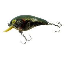 Load image into Gallery viewer, Left Facing View of COTTON CORDELL TACKLE COMPANY BIG-O Fishing Lure in NATURAL BASS