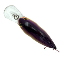 Cargar imagen en el visor de la galería, RAPALA DT-6 Fishing Lure in CHARTREUSE PURPLE SHINER. DIVES TO 6 FEET Rattling Crankbait. D