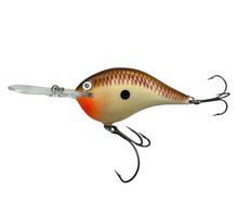 Load image into Gallery viewer, DTSS16 BRBN RAPALA LURES Dives-To 16 Feet. Sure Set Hooks. BROWN BONE. L
