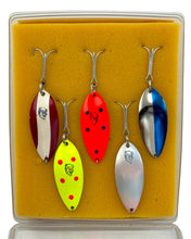Load image into Gallery viewer, EPPINGER DAREDEVLE DEVLE DOG KIT 5400 FISHING SPOON GIFT SET salmon spoons