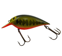 Load image into Gallery viewer, STORM LURES ThinFin FATSO Fishing Lure in BASS ORANGE BELLY. Left