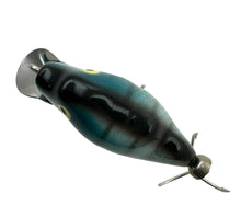 Load image into Gallery viewer, Dorsal View of HEDDON LURES PUNKINSEED SPOOK Fishing Lure. Zombie BLUEGILL.