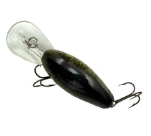 Load image into Gallery viewer, REBEL LURES HUMPBACK FISHING LURE in NATURALIZED BASS D2576 D