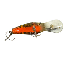 Load image into Gallery viewer, Belly View of COTTON CORDELL DEEP BIG O Fishing Lure w/Original Box & Insert in NATURAL PERCH