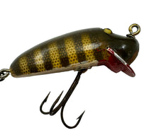 Load image into Gallery viewer, Up Close Belly Paint View of CREEK CHUB RIVER RUSTLER Fishing Lure in PIKE SCALE. Antique CCBCO Bait.