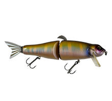 Load image into Gallery viewer, Right Facing View of FISH ARROW IT-JACK Fishing Lure by itö ENGINEERING of JAPAN in HASU