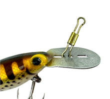 画像をギャラリービューアに読み込む, Up Close Eye Blemish View of STORM LURES HOT N  TOT Fishing Lure in Brown Trout or Drip Trout