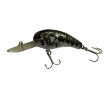 Load image into Gallery viewer, Left Facing View of COTTON CORDELL DEEP BIG O Fishing Lure w/Original Box & Insert in NATURAL BASS