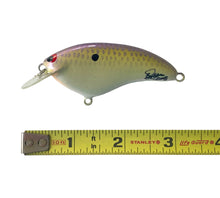Load image into Gallery viewer, Handmade Bass Lures • BRIAN'S BEES CRANKBAITS 2 3/4" FLAT SIDE ROUND BILL Fishing Lure • #249 PURPLE BACK
