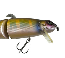 Load image into Gallery viewer, Up Close View of FISH ARROW IT-JACK Fishing Lure by itö ENGINEERING of JAPAN in HASU