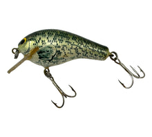 Load image into Gallery viewer, Left Facing View of BAGLEY KILL'R B II (Killer B2) Fishing Lure in TRUE LIFE CRAPPIE with Square Bill
