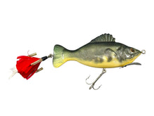 Load image into Gallery viewer, Fill Light Right Facing View of National Fishing Lure Collectors Club 2008 CLUB LURE • NFLCC Commemorative Fishing Lure • REND LAKE BASS