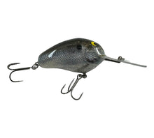 Cargar imagen en el visor de la galería, Right Facing View of Mango Enterprises C-Flash Crankbaits 44 CAL Fishing Lure in SHAD DFI