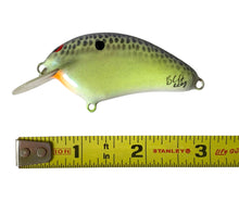 Load image into Gallery viewer, Handmade Bass Lures • BRIAN'S BEES CRANKBAITS THICK FLAT SIDE ROUND BILL Fishing Lure • BLUE BACK/SCALE SPARKLE