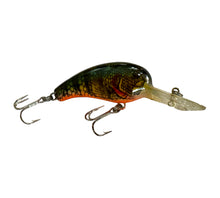 Load image into Gallery viewer, Right Facing View of COTTON CORDELL DEEP BIG O Fishing Lure w/Original Box & Insert in NATURAL PERCH