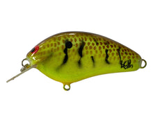 Load image into Gallery viewer, Handmade Bass Lures • BRIAN'S BEES CRANKBAITS THICK FLAT SIDE ROUND BILL Fishing Lure • BROWN BACK & SCALE w/ YELLOW BODY; CRAYFISH PATTERN