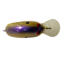 Load image into Gallery viewer, Top View of BRIAN'S BEES CRANKBAITS 1 7/8" FAT BODY ROUND LIP Fishing Lure. For Sale Online at Toad Tackle.