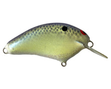 Load image into Gallery viewer, Handmade Bass Lures • BRIAN'S BEES CRANKBAITS THICK FLAT SIDE ROUND BILL Fishing Lure • BLUE BACK/SCALE SPARKLE