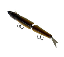 Load image into Gallery viewer, Top View of FISH ARROW IT-JACK Fishing Lure by itö ENGINEERING of JAPAN in HASU