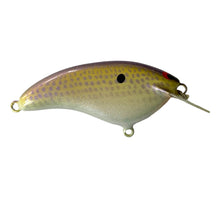 Load image into Gallery viewer, Handmade Bass Lures • BRIAN'S BEES CRANKBAITS 2 3/4" FLAT SIDE ROUND BILL Fishing Lure • #249 PURPLE BACK