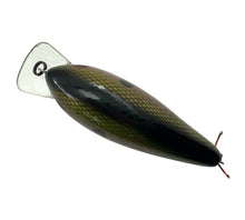 Load image into Gallery viewer, Back View for COTTON CORDELL BIG O Fishing Lure in PERCH. Fred Young’s Balsa Wood Crankbait.