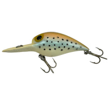 Load image into Gallery viewer, STORM LURES WIGGLE WART Fishing Lure. V 41 RAINBOW TROUT L