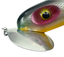 Lataa kuva Galleria-katseluun, FRED ARBOGAST WOOD JITTERBUG in PERCH Scale. Muskie Size. eye