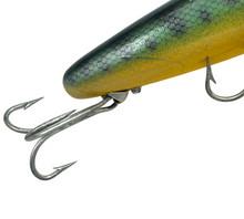 Lataa kuva Galleria-katseluun, FRED ARBOGAST WOOD JITTERBUG in PERCH Scale. Muskie Size. paint swirl