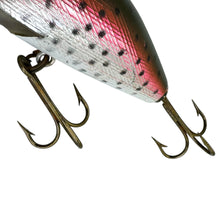 Load image into Gallery viewer, REBEL LURES SUPER R CRANKBAIT. METALLIC RAINBOW TROUT. DR26R RBW tail