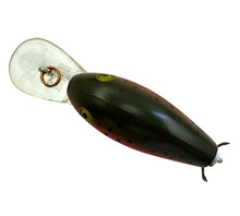 Load image into Gallery viewer, REBEL LURES SUPER R CRANKBAIT. METALLIC RAINBOW TROUT. DR26R RBW lip