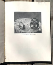 Load image into Gallery viewer, 1st Edition Book • COLLECTING OLD FISHING TACKLE by Art & Scott Kimball