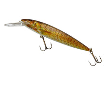 Charger l'image dans la galerie, Left Facing View of Original Handmade DAM EFFZETT Nature Gudgeon Fishing Lure in BROWN SUCKER