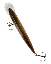 Charger l'image dans la galerie, Top View of Original Handmade DAM EFFZETT Nature Gudgeon Fishing Lure in BROWN SUCKER