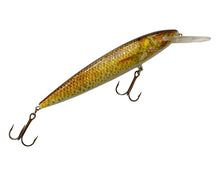 Charger l'image dans la galerie, Right Facing View of Original Handmade DAM EFFZETT Nature Gudgeon Fishing Lure in BROWN SUCKER