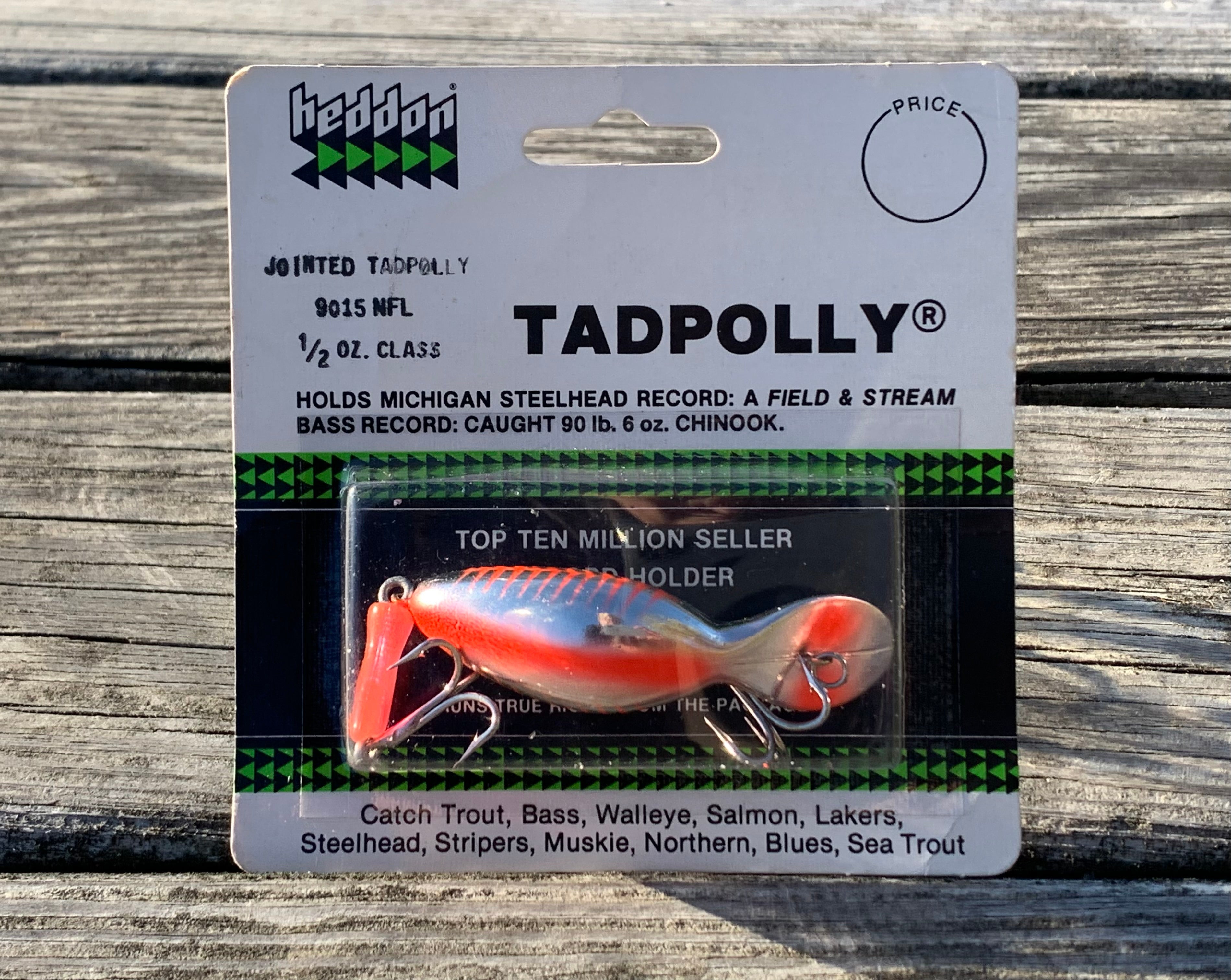 Heddon Tadpolly Tiny Tad, XBW Black Shore Minnow Color – My Bait Shop, LLC