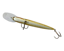 Charger l'image dans la galerie, Belly View of Original Handmade DAM EFFZETT Nature Gudgeon Fishing Lure in BROWN SUCKER