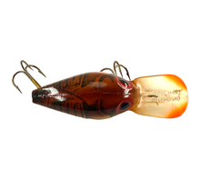 Load image into Gallery viewer, Top or Back View of STORM LURES SUSPENDING WIGGLE WART Fishing Lure in NATURISTIC BROWN CRAYFISH (Lip Stamped)