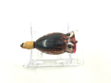 Cargar imagen en el visor de la galería, Back View of Fred Arbogast HULA POPPER Fishing Lure with Original Box in Sparrow