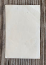 Cargar imagen en el visor de la galería, Big Falls, MN Old School Fishing Souvenir. Walleye Pike Retro Graphics. back