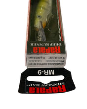 Load image into Gallery viewer, Box Stats View of RAPALA LURES MINNOW RAP Fishing Lure in YELLOW PERCH