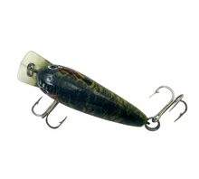 Load image into Gallery viewer, COTTON CORDELL Tiny BIG O Fishing Lure. 7600 Series Life Like Blue Gill. D

