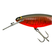 Lade das Bild in den Galerie-Viewer, BAGLEYS DIVING BANG-O 6 BALSA CRANKBAIT. LITTLE MUSKIE ON ORANGE. 2
