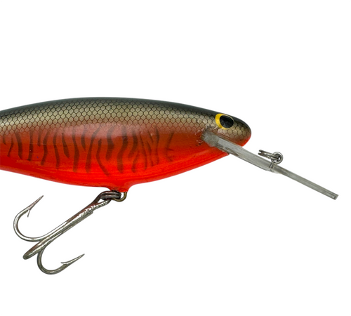 bagley balsa b lure in rainbow trout Minnow Jerkbait Fishermans Central Heat Compression Molded Premium Balsa Diving Balsa B